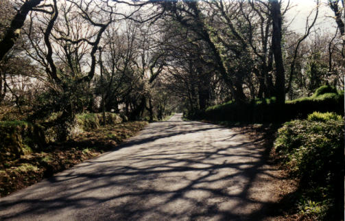 Take as walk through the woods.